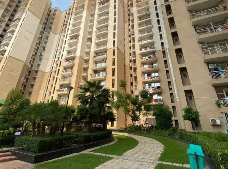Nirala Greenshire